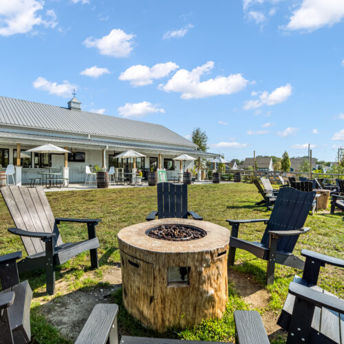 Firepits in the Lawn